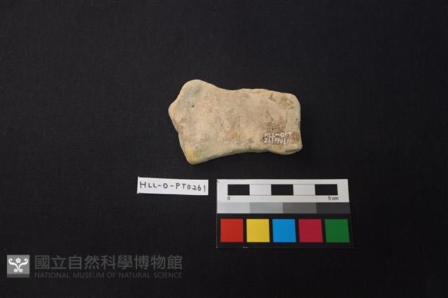 陶片藏品圖，第2張