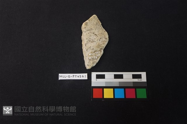陶片藏品圖，第2張