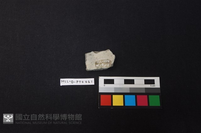 陶片藏品圖，第2張