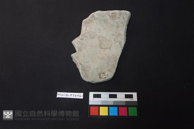 陶片藏品圖，第2張