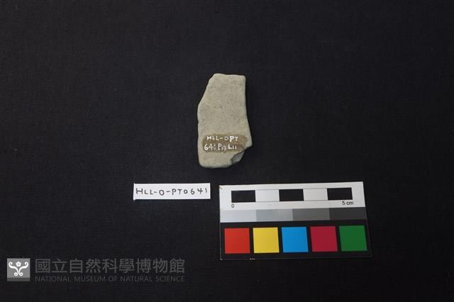 陶片藏品圖，第2張