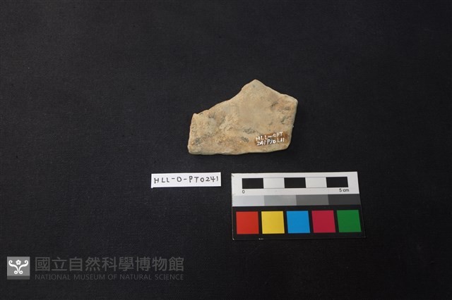 陶片藏品圖，第2張