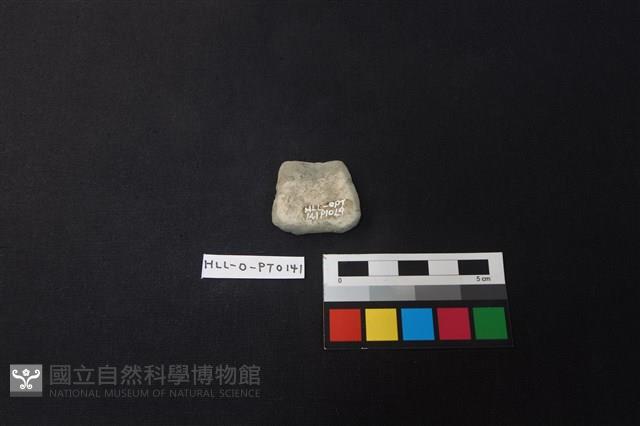 陶片藏品圖，第2張