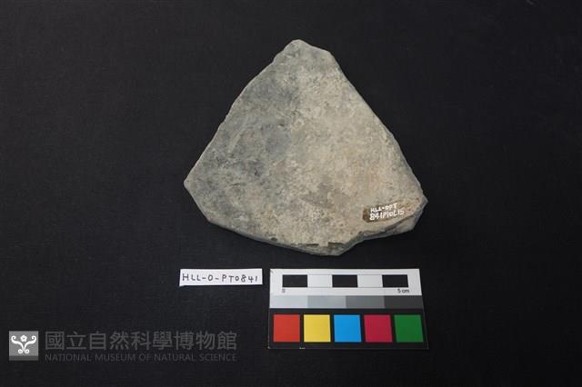 陶片藏品圖，第2張