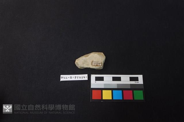 陶片藏品圖，第2張