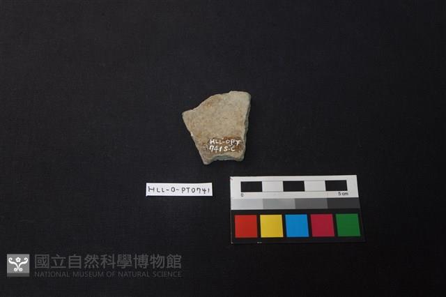 陶片藏品圖，第2張