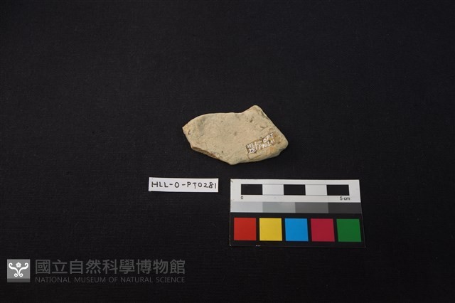 陶片藏品圖，第2張