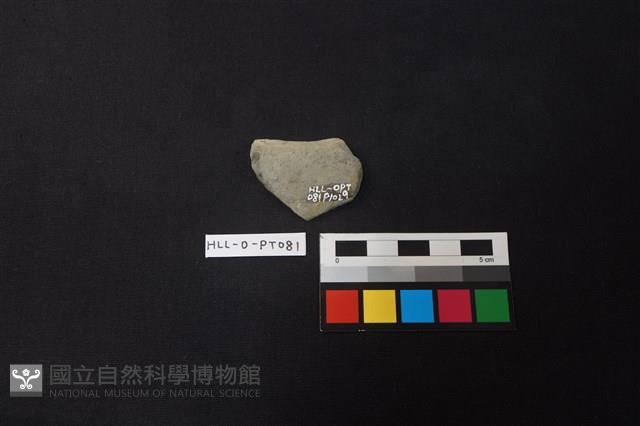 陶片藏品圖，第2張