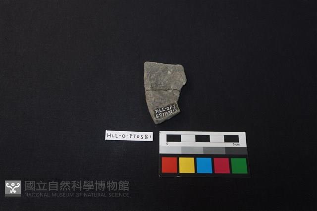 陶片藏品圖，第2張