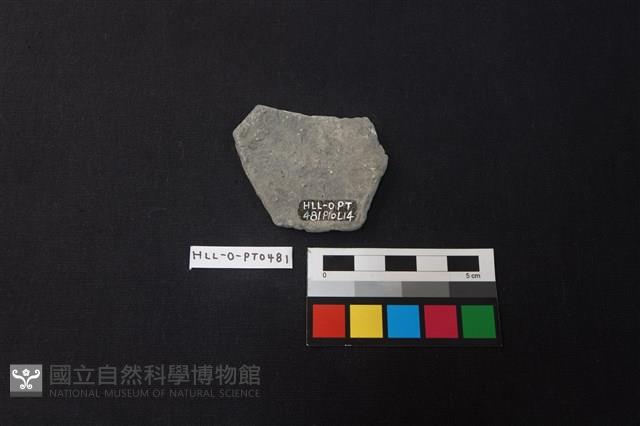 陶片藏品圖，第2張