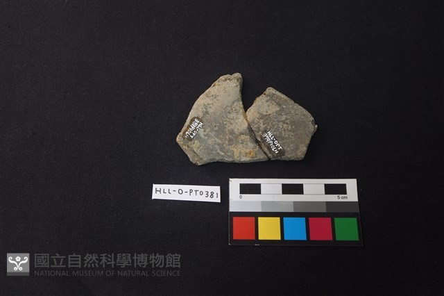 陶片藏品圖，第2張