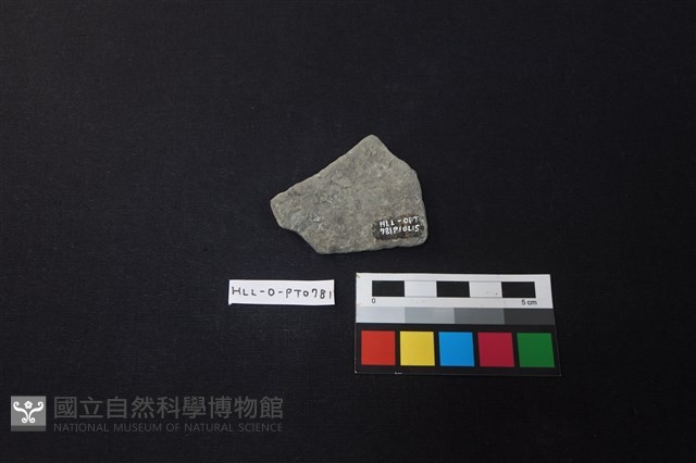 陶片藏品圖，第2張