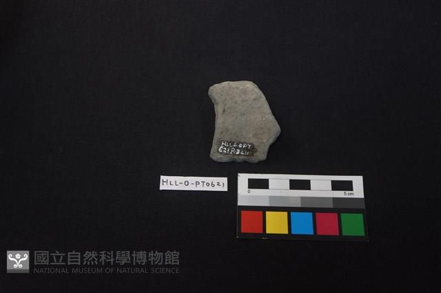 陶片藏品圖，第2張