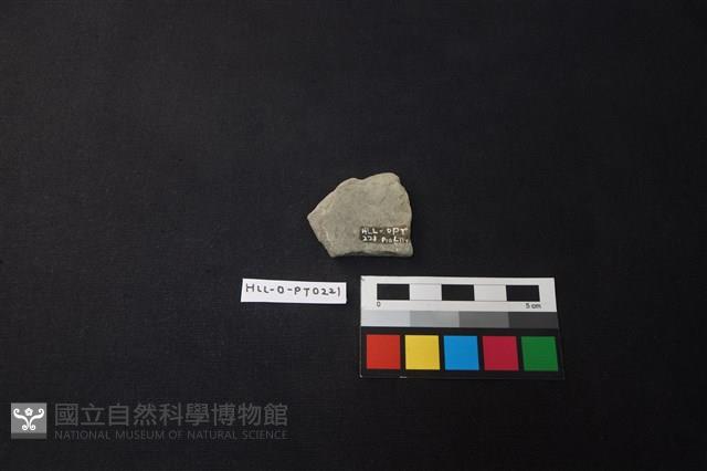 陶片藏品圖，第2張