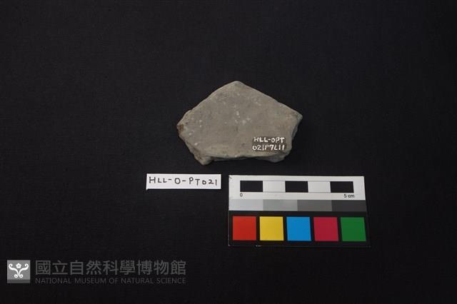 陶片藏品圖，第2張