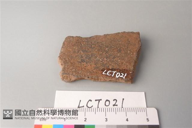 陶片藏品圖，第2張