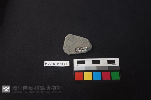 陶片藏品圖，第2張