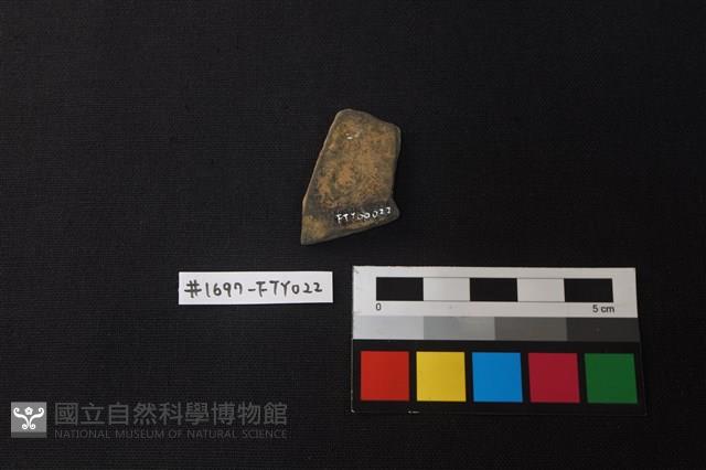 陶片藏品圖，第2張