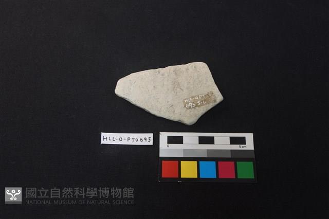 陶片藏品圖，第2張