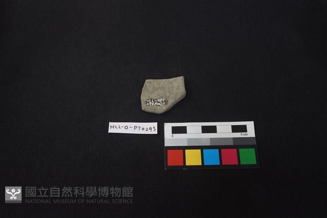 陶片藏品圖，第2張