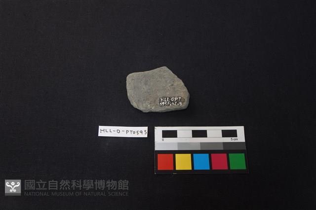 陶片藏品圖，第2張