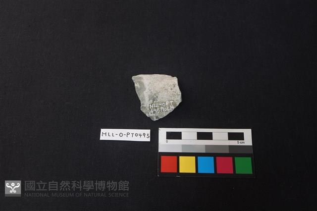 陶片藏品圖，第2張