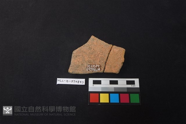 陶片藏品圖，第2張
