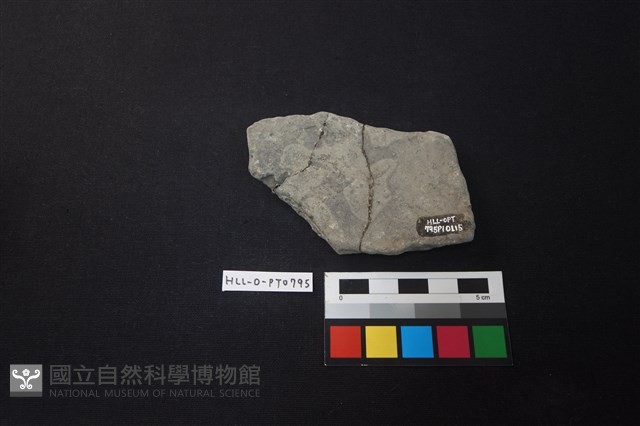 陶片藏品圖，第2張