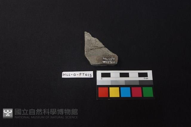 陶片藏品圖，第2張