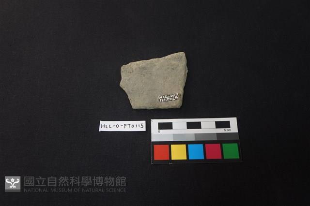 陶片藏品圖，第2張