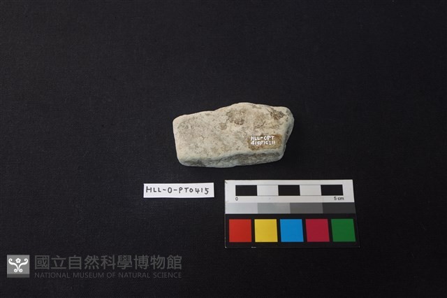 陶片藏品圖，第2張