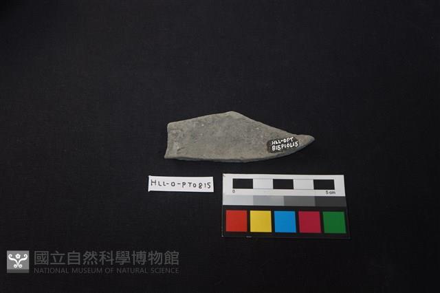 陶片藏品圖，第2張