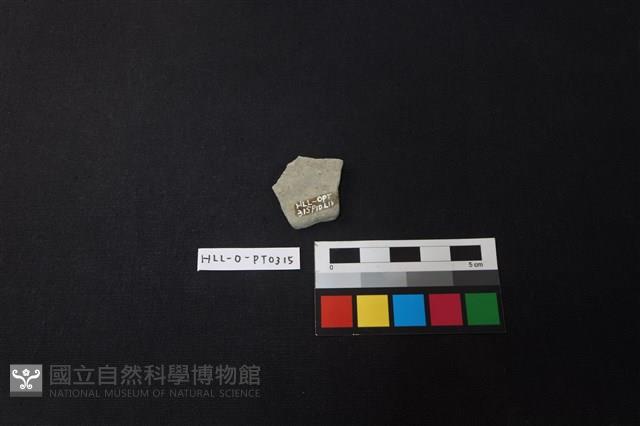 陶片藏品圖，第2張