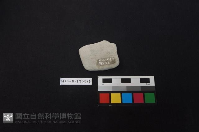 陶片藏品圖，第2張