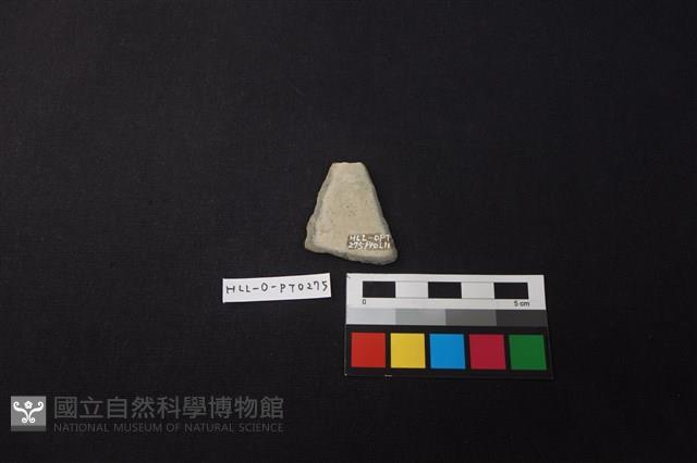 陶片藏品圖，第2張