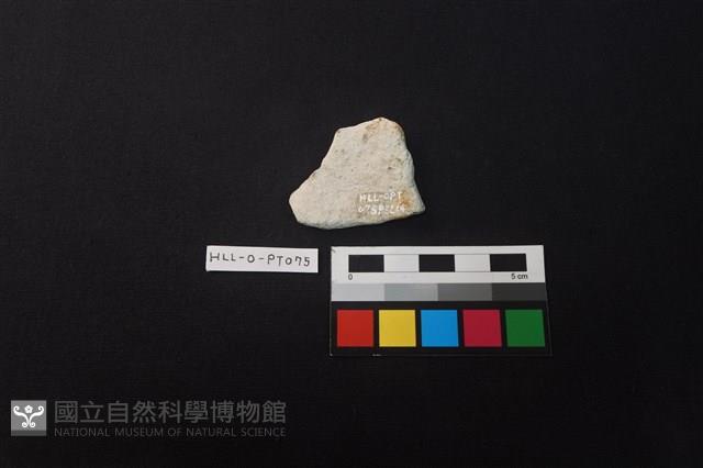 陶片藏品圖，第2張