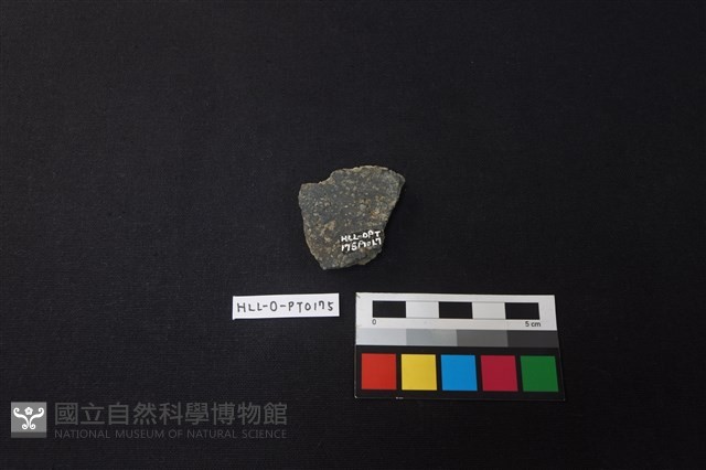 陶片藏品圖，第2張