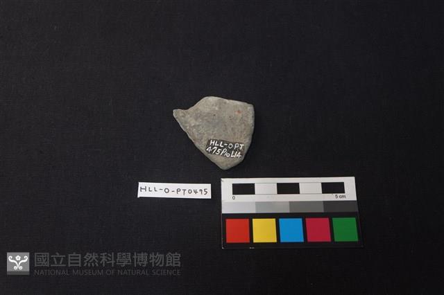 陶片藏品圖，第2張