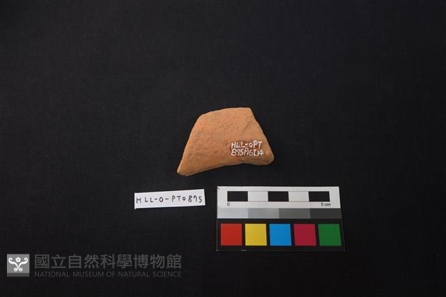 陶片藏品圖，第2張