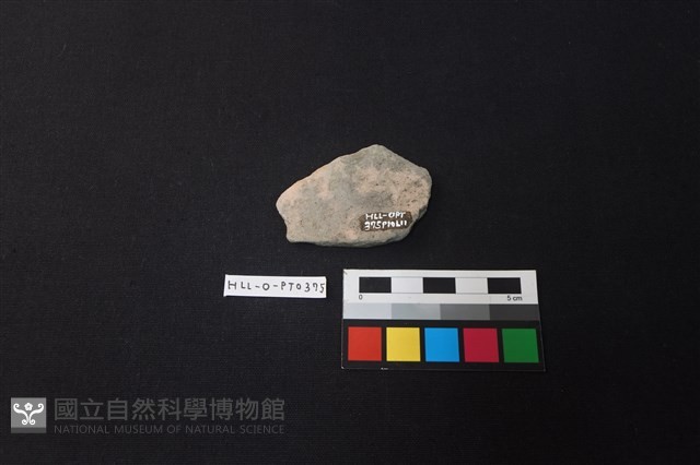 陶片藏品圖，第2張