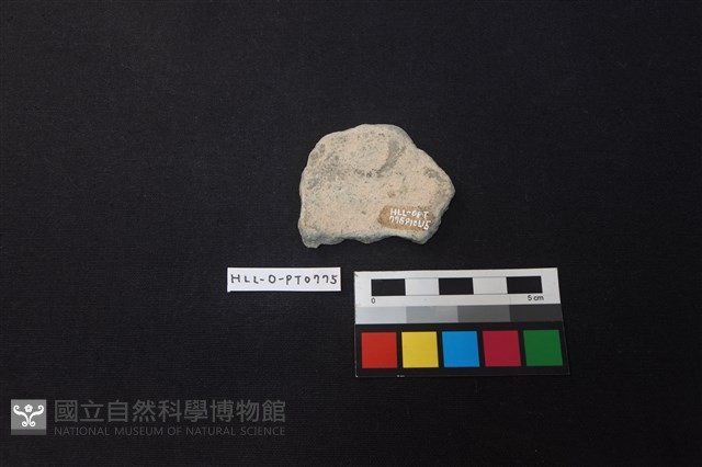 陶片藏品圖，第2張