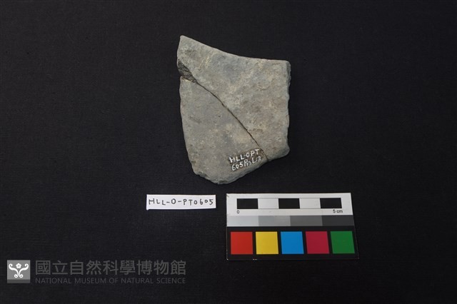 陶片藏品圖，第2張
