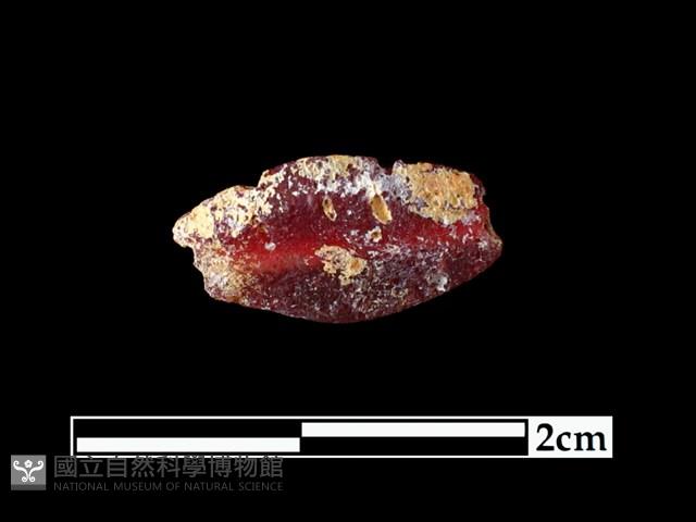 玻璃珠藏品圖，第2張