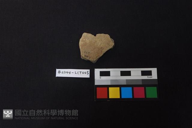 陶片藏品圖，第2張