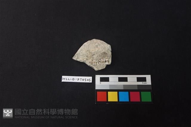 陶片藏品圖，第2張