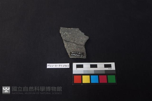 陶片藏品圖，第2張