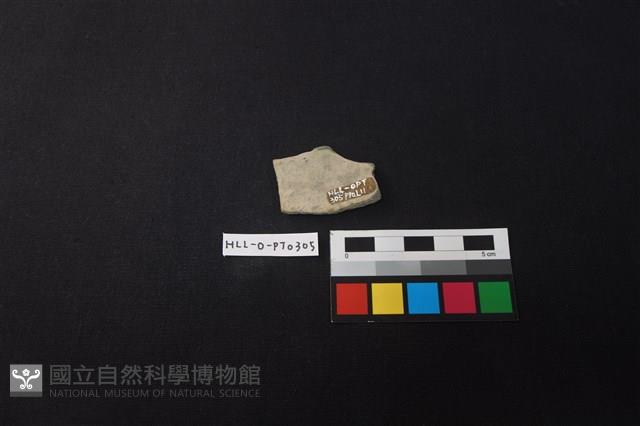 陶片藏品圖，第2張