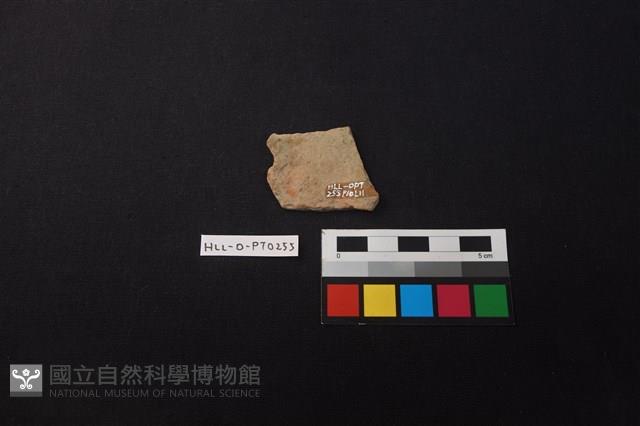 陶片藏品圖，第2張