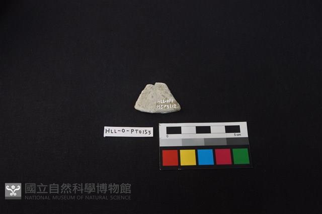 陶片藏品圖，第2張