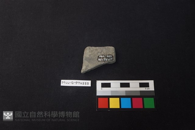 陶片藏品圖，第2張